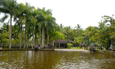 açık havuz ve fil elephant safari Park Ubud,