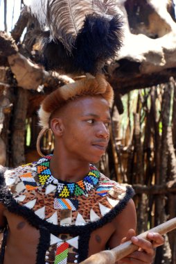 Zulu savaşçısı adam lesedi kültür Köyü, Güney Afrika.