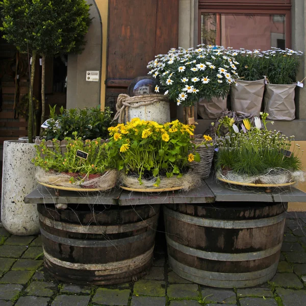 Kwiaciarnia na starego miasta ulica (Szwajcaria). — Zdjęcie stockowe