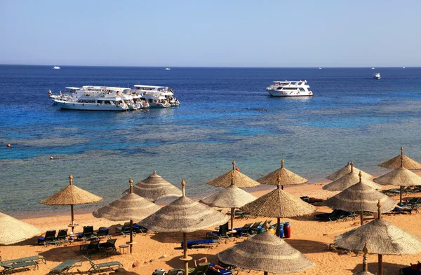 Röda havets strand, sharm el sheikh, Egypten — Stockfoto