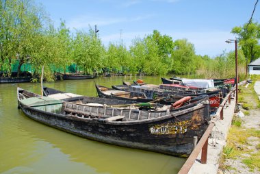 balıkçı tekneleri, vilkovo, Ukrayna.
