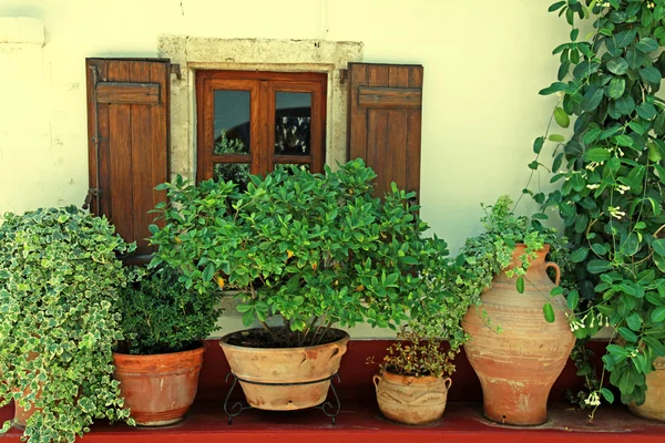 Fenster mit Holzläden und Blumentöpfen (Beton, Griechenland)) — Stockfoto