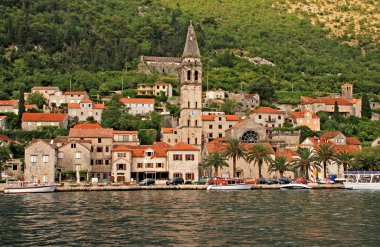 Perast, defne, kotor, Karadağ