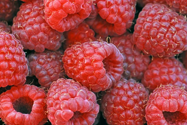 Raspberries background — Stock Photo, Image