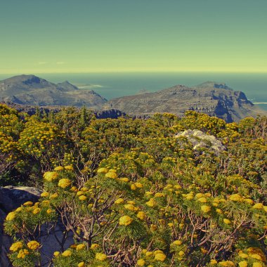 Masa Dağı Milli park, Güney Afrika