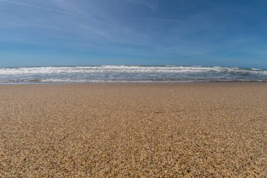 Sahilde dalgaların olduğu bir deniz.