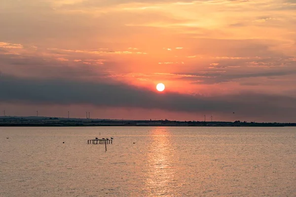 Lake Sunset Seagulls Background — Stock Photo, Image