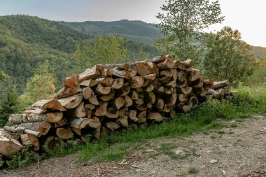 Ağaçlık yolda dizilmiş sandık yığınları