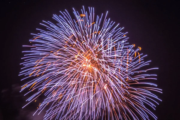Fireworks Foreground Color Night Sky — Stockfoto