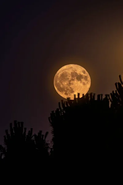 Vista Nascer Lua Perigeu — Fotografia de Stock