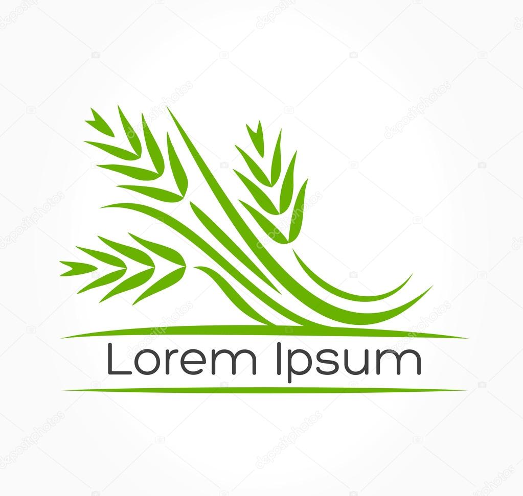 Wheat ears vector logo