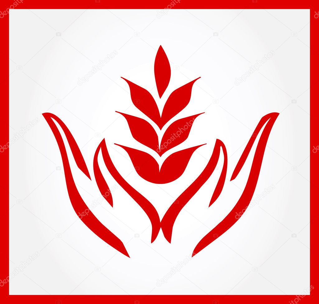 Hands protecting new green plant