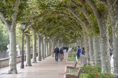 Burgos, İspanya - 16 Ekim 2021: Burgos kentindeki Paseo Espolon nehri kıyısında ağaçlar