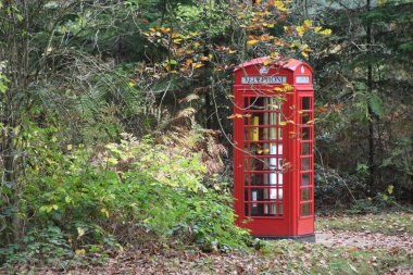 Sherwood Forest, UK - 17 Nov, 2021: Traditional British Red Public Telephone Box in a Nottinghamshire forest clipart