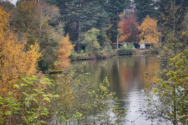 Sherwood Forest Velká Británie Listopadu 2021 Podzimní Listy Barvy Sherwood — Stock fotografie