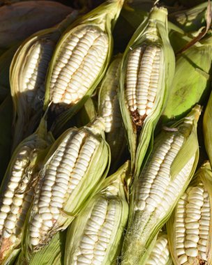 Urubamba, Peru - 30 Haziran 2022: Urubamba Merkez Pazarı, Kutsal Vadi, Cusco, Peru