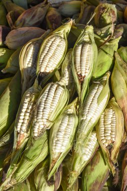 Urubamba, Peru - 30 Haziran 2022: Urubamba Merkez Pazarı, Kutsal Vadi, Cusco, Peru