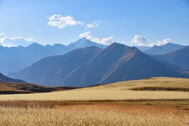 Maize ve Quinoa Tarlaları, Urubamba Vadisi, Cusco, Peru