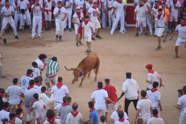 Pamplona, İspanya - 10 Temmuz 2022: İnsanlar Bulls, San Fermin Festivali 'nin yıllık koşusu için Plaza de Toros' ta toplandılar