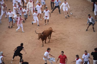 Pamplona, İspanya - 10 Temmuz 2022: İnsanlar Bulls, San Fermin Festivali 'nin yıllık koşusu için Plaza de Toros' ta toplandılar