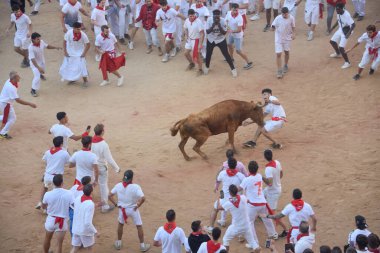 Pamplona, İspanya - 10 Temmuz 2022: İnsanlar Bulls, San Fermin Festivali 'nin yıllık koşusu için Plaza de Toros' ta toplandılar