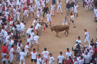 Pamplona, İspanya - 10 Temmuz 2022: İnsanlar Bulls, San Fermin Festivali 'nin yıllık koşusu için Plaza de Toros' ta toplandılar