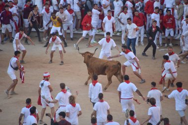 Pamplona, İspanya - 10 Temmuz 2022: Kalabalık Bulls, San Fermin Festiva 'nın yıllık koşusu için Plaza de Toros' ta toplandı