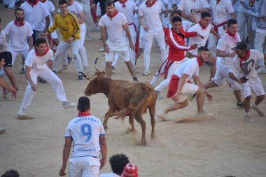 Pamplona, İspanya - 10 Temmuz 2022: Kalabalık Bulls, San Fermin Festiva 'nın yıllık koşusu için Plaza de Toros' ta toplandı