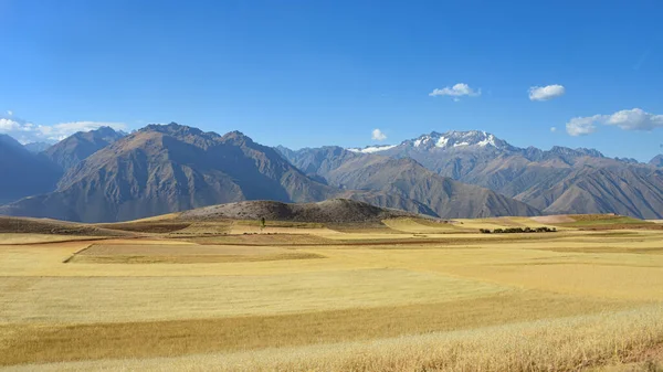 Fields of Maize and Quinoa, Urubamba Valley, Cusco, Peru