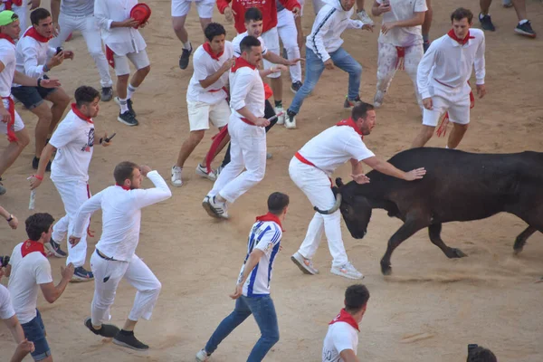 Pamplona Ισπανία Ιουλίου 2022 Πλήθη Συγκεντρώνονται Στην Plaza Toros Για — Φωτογραφία Αρχείου