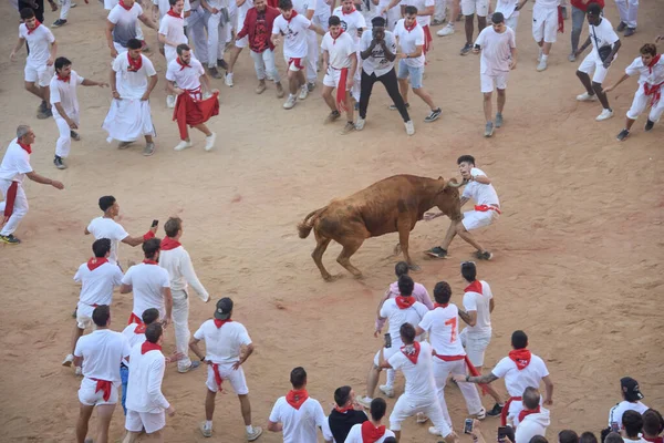 Pamplona Ισπανία Ιουλίου 2022 Πλήθη Συγκεντρώνονται Στην Plaza Toros Για — Φωτογραφία Αρχείου