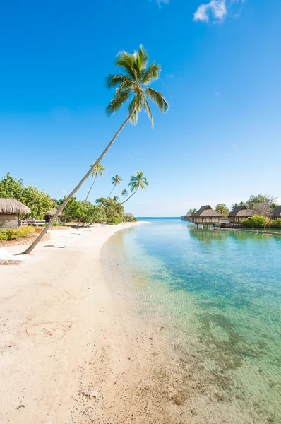 Paradise beach — Stock Photo, Image