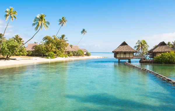 Tahiti-Paradies — Stockfoto