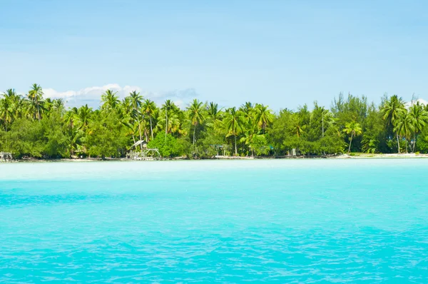 Paraíso colores — Foto de Stock