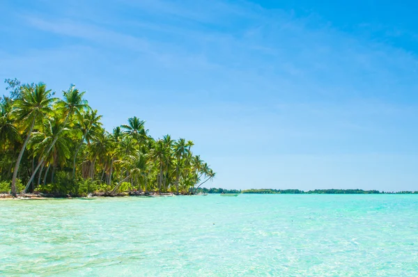 Agua asombrosa  ! — Foto de Stock