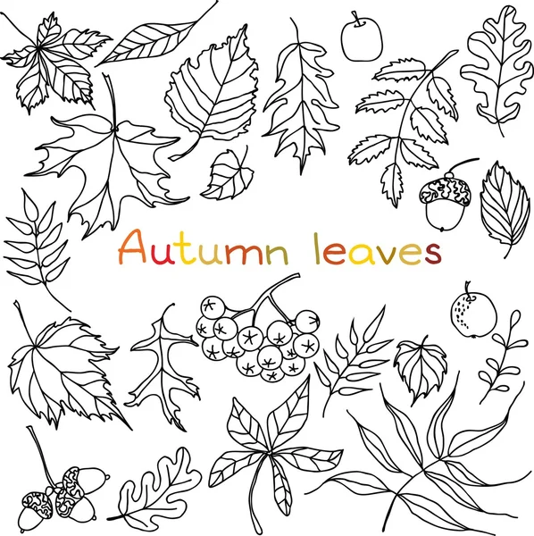 Осенние листья каракули — стоковый вектор