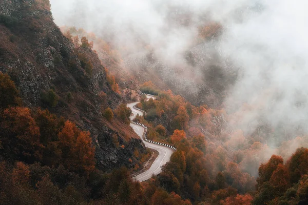 Jila-Su (Dzhily-Su) yolu. Dağlarda, sarp bir yokuş... Sonbahar sisli manzarası. Kafkasya 'da altın sonbahar. Sis, sonbahar ve dağlar.