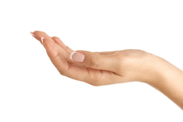 Closeup profile of beautiful female hand offering — Stock Photo, Image