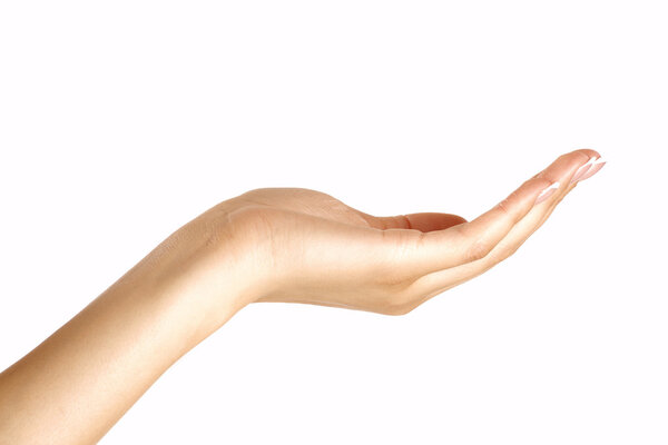 Closeup profile of beautiful female hand offering 