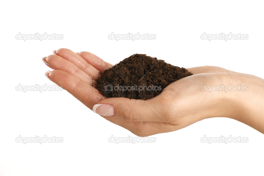 Brown soil in a beautiful female hand 