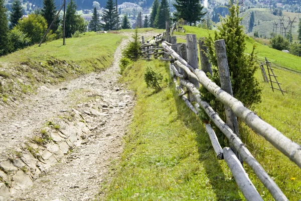 Забор в лесу — стоковое фото