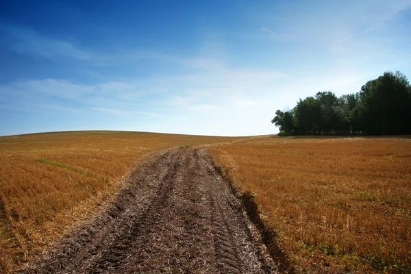 Sommaren sätter och road — Stockfoto