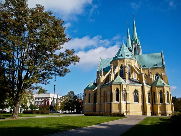Cathédrale de Lodz — Photo