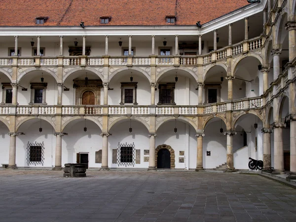 Замок Бжег, Польща — стокове фото