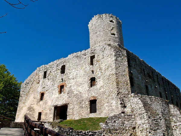 Die lipowiec gotische Burg, babice, poland — Stockfoto