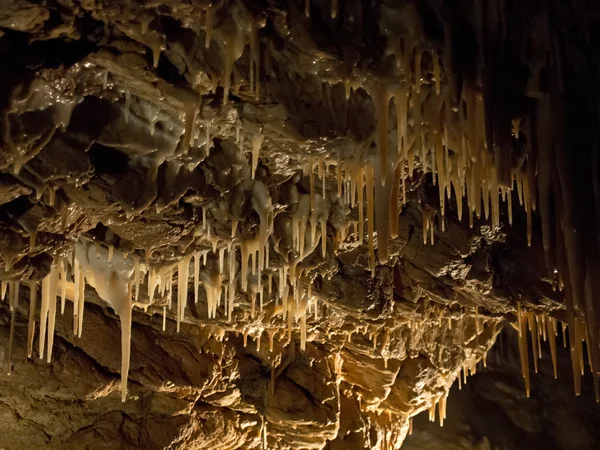 Bear cave Stock Photos, Royalty Free Bear cave Images Depositphotos