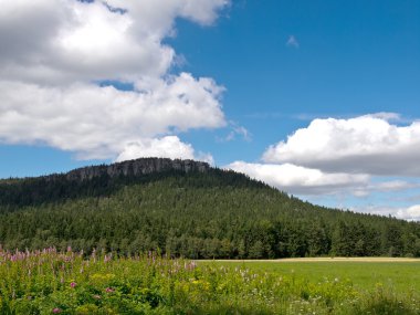 szczeliniec, Polonya
