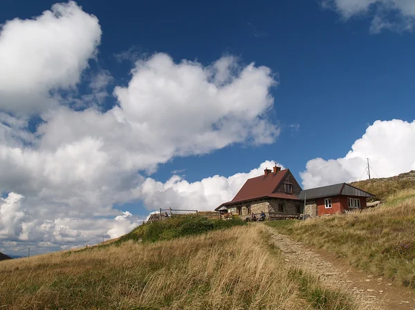chatka puchatka - ünlü mountain hostel, bieszczady, Polonya