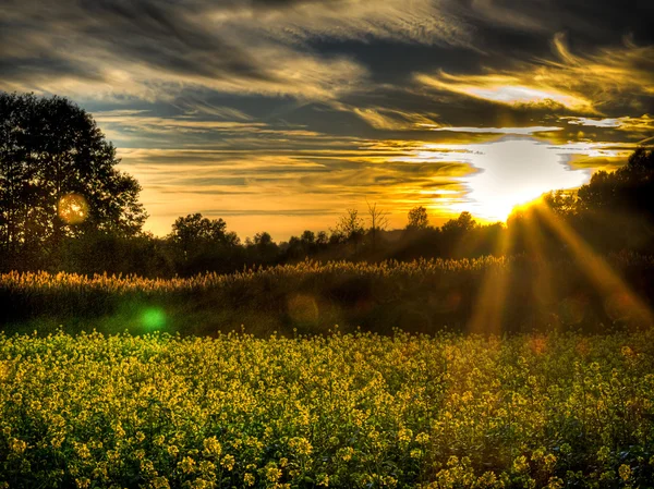 Wunderschöner Sonnenuntergang über polnischen Feldern lizenzfreie Stockfotos