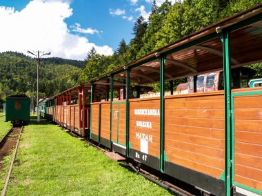 bieszczadska ahşap demiryolu, dolzyca - przyslup, Polonya